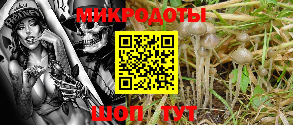 Псилоцибиновые грибы MAGIC MUSHROOMS Вышний Волочёк